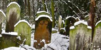 Snowny cemetery